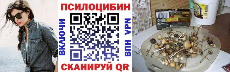 купить  цена  Маркс  Галлюциногенные грибы прущие грибы 